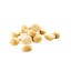 Macadamia Nuts in bulk
