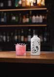 Gin Panda 2