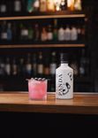 Gin Panda 2
