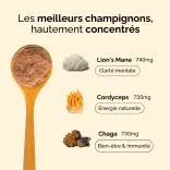 Alternative Café Originale 4