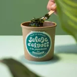 Prepared Seaweed Salad 1