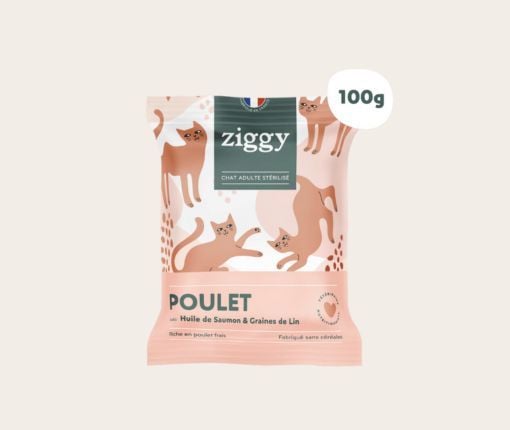 Croquette poulet