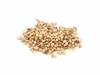 Sesame Seeds In Bulk