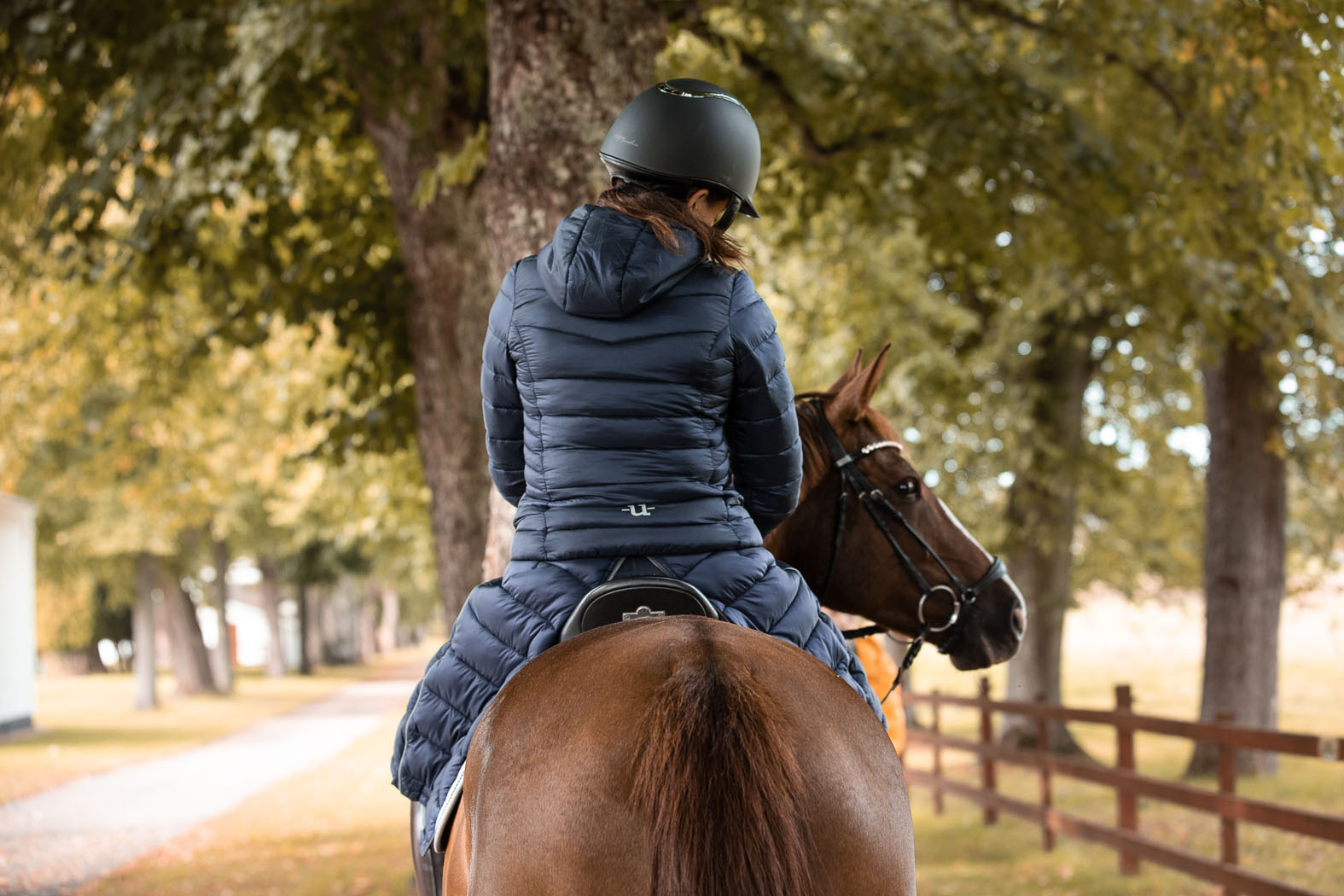 A person in a helmet and jacket rides a brown horse along a tree-lined path, with a wooden fence on the right.