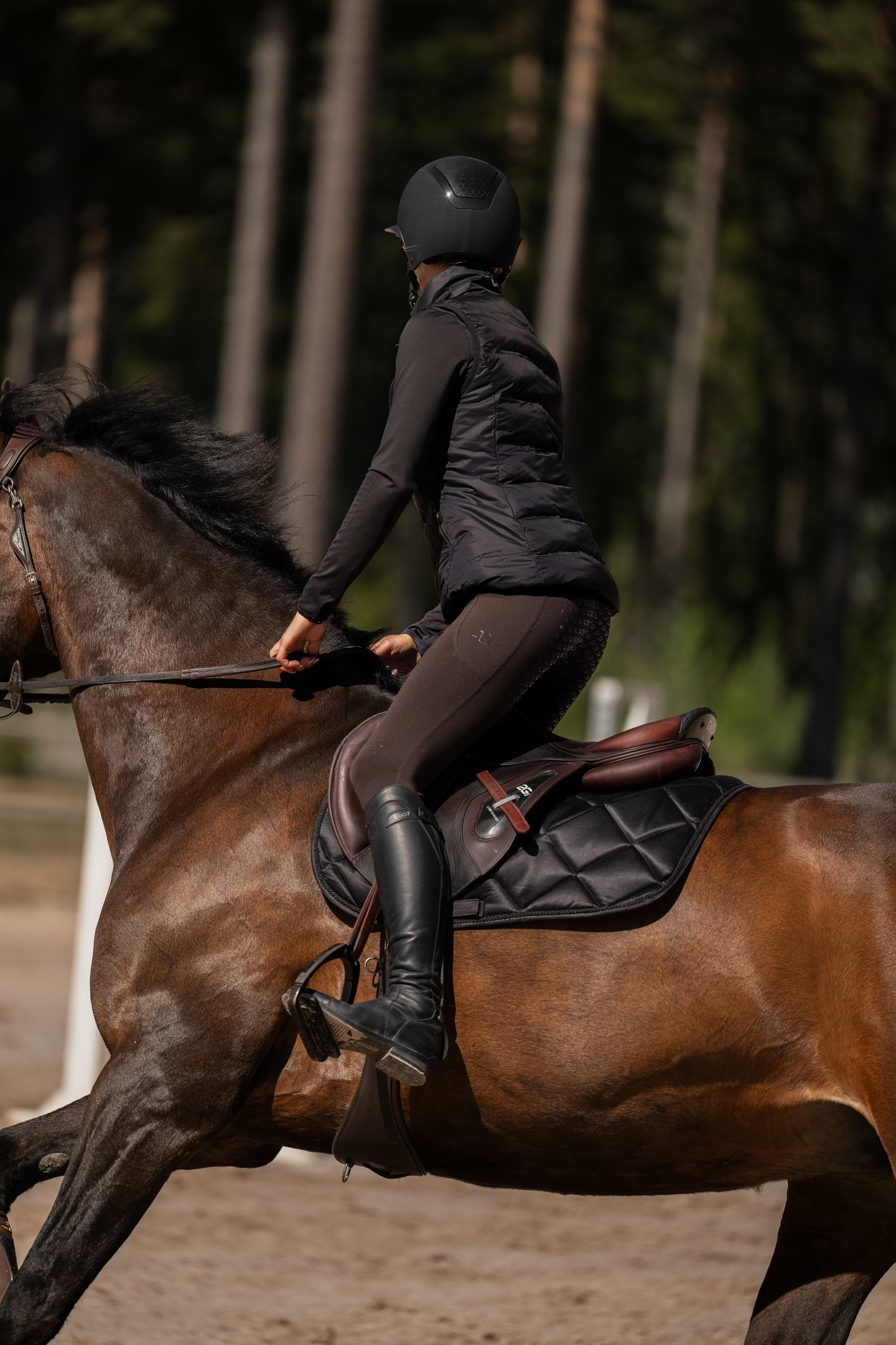 Perfect Fit Riding Tights Ash Brown
