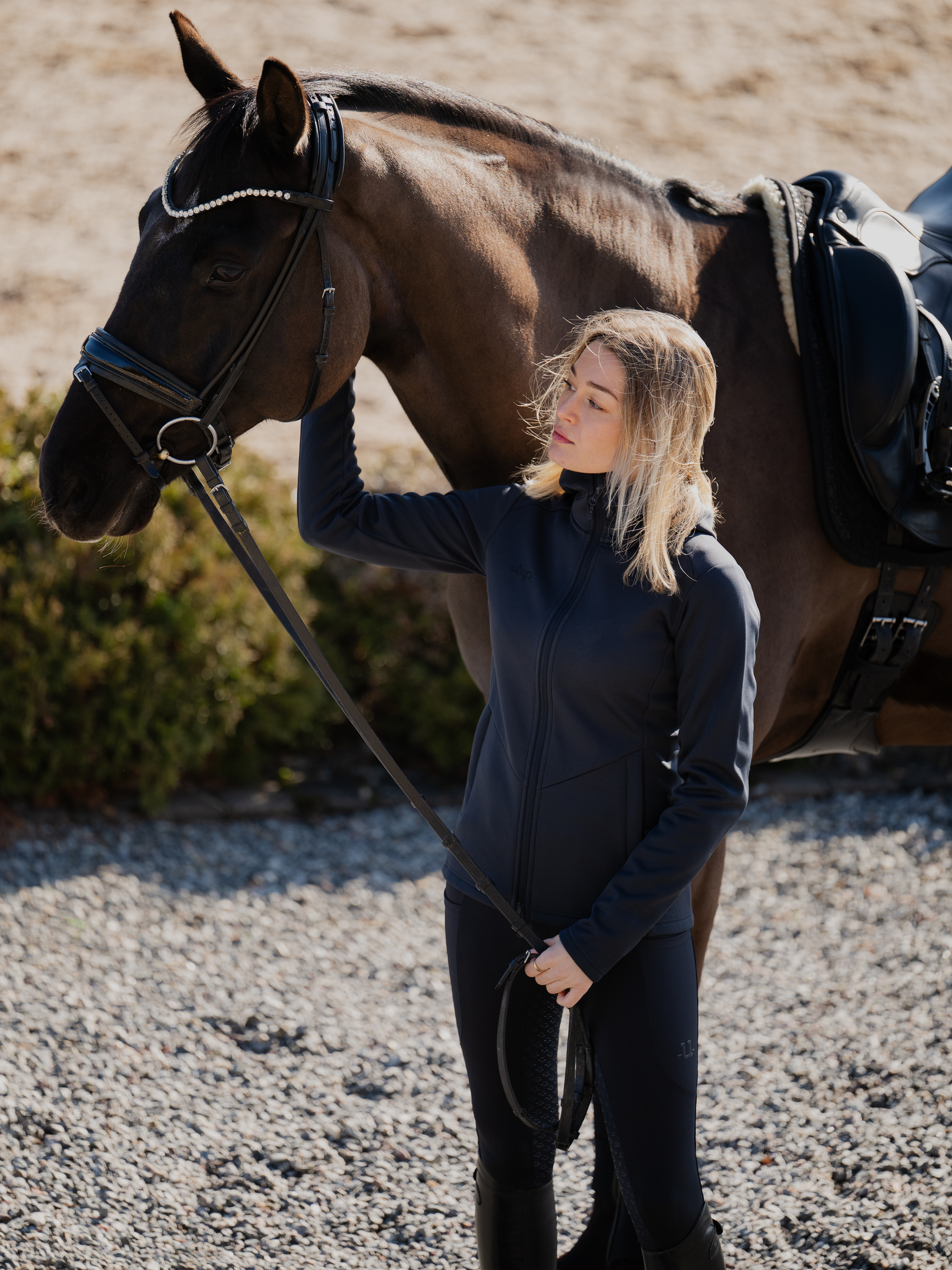 Misty Equestrian Hoodie