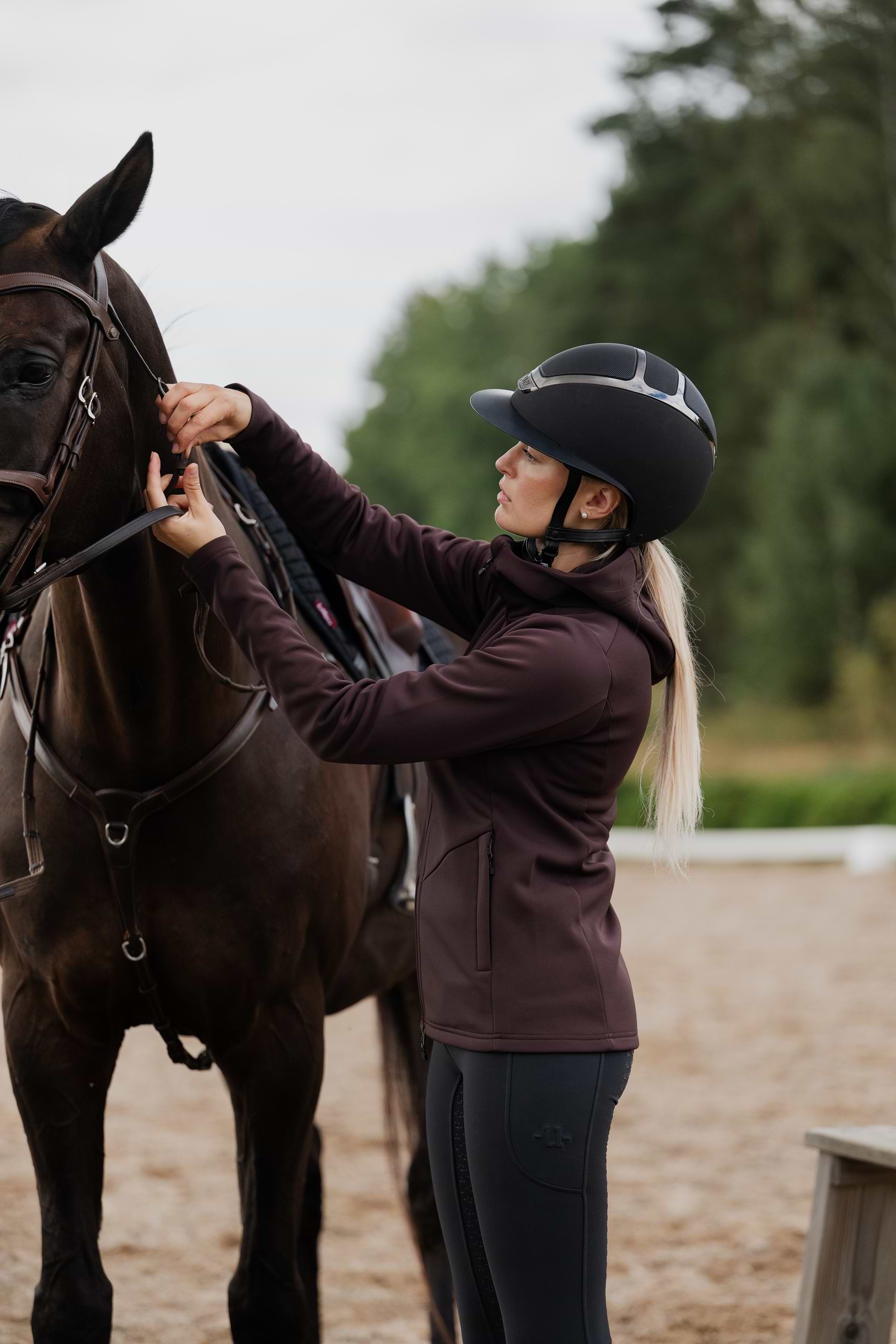 Misty Equestrian Hoodie