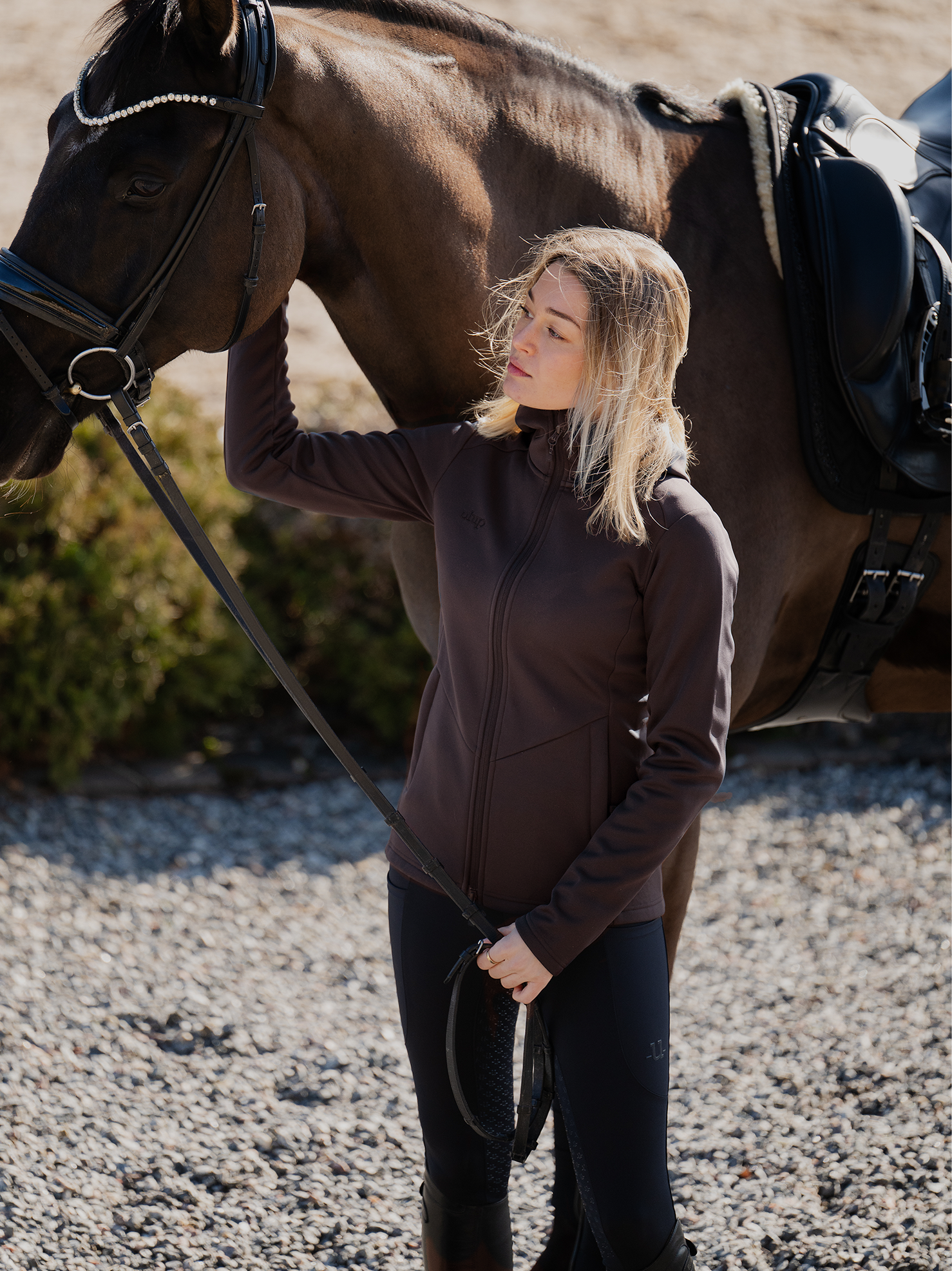 Misty Equestrian Hoodie