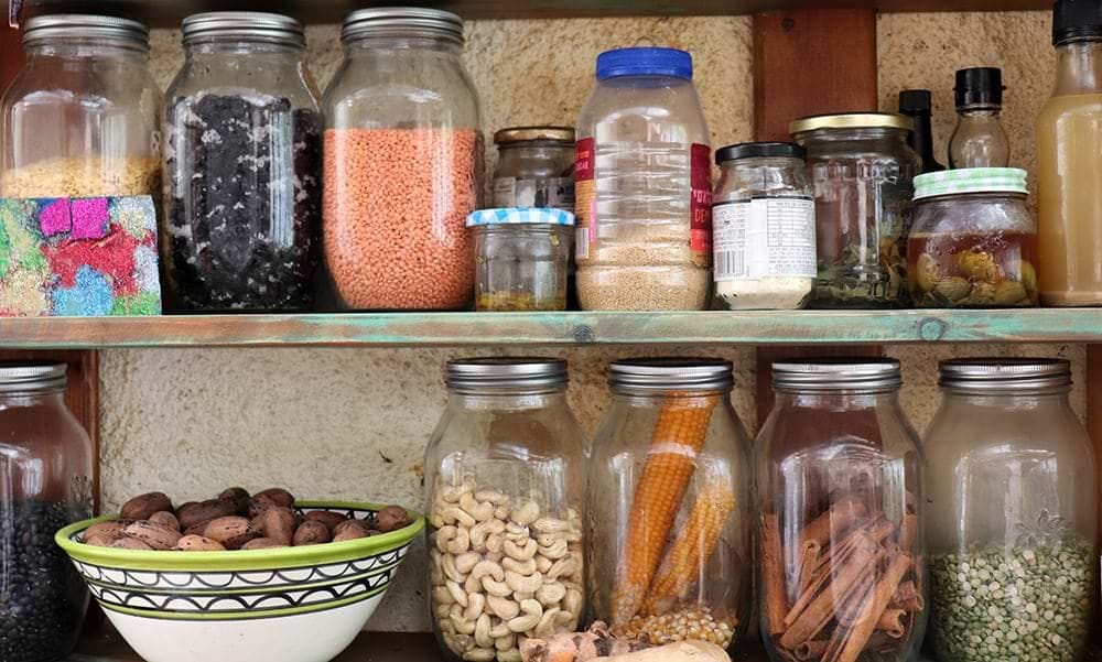 5 Items You Already Have In Your Kitchen that will Grow a Home Garden