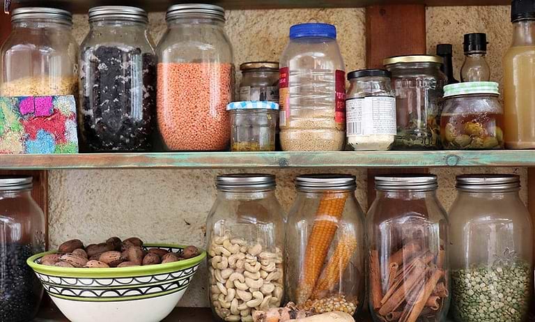 5 Items You Already Have In Your Kitchen that will Grow a Home Garden
