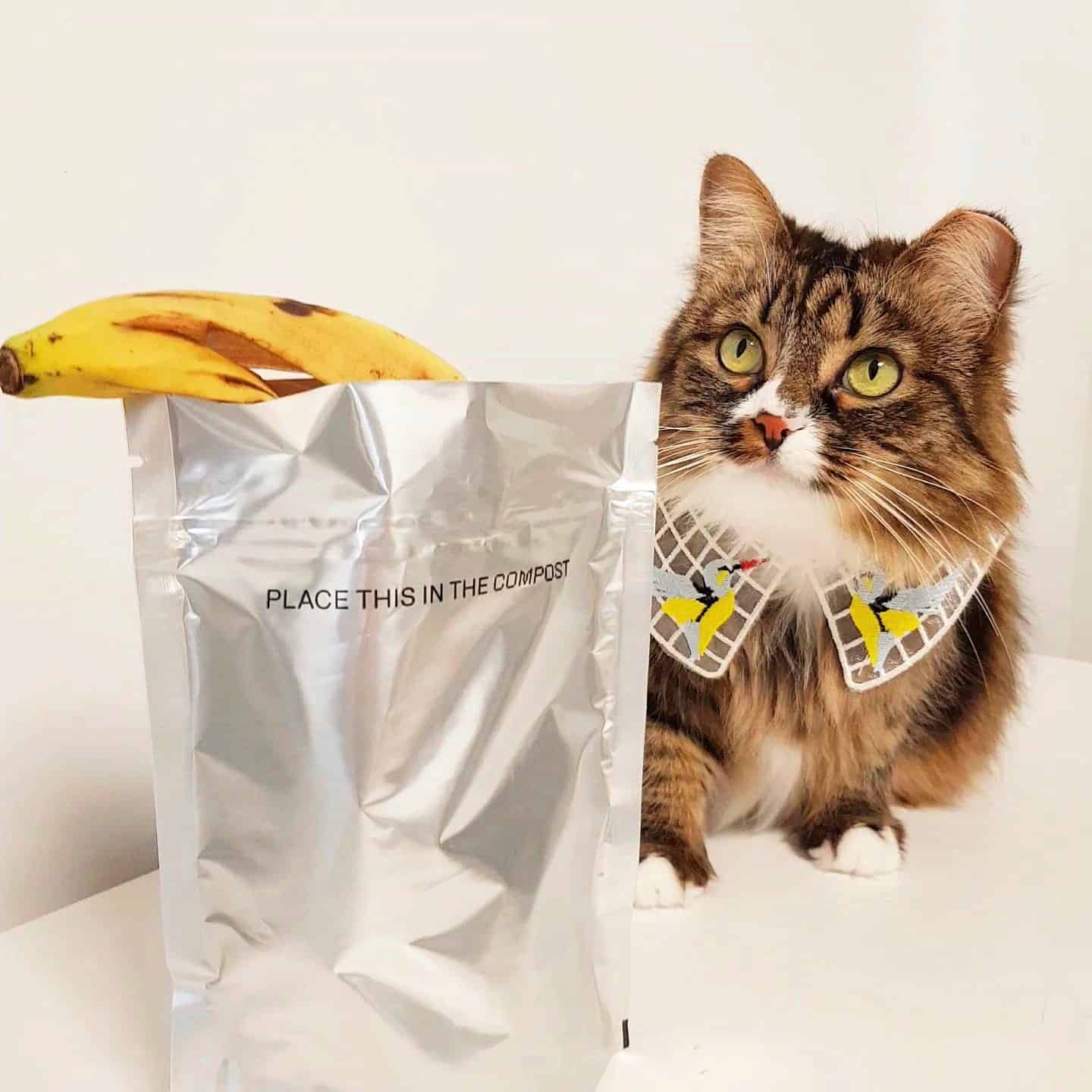 Cat Pet Compostable Packaging