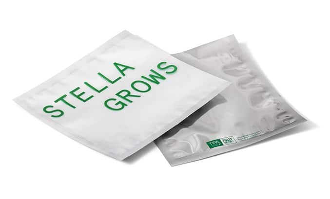 STELLA_3356