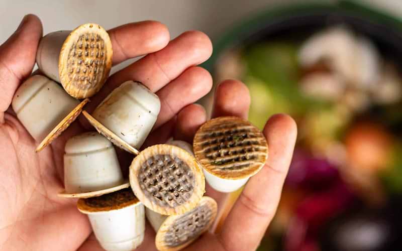 3_4WKS Compostable pods