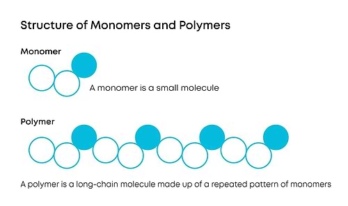 polymers