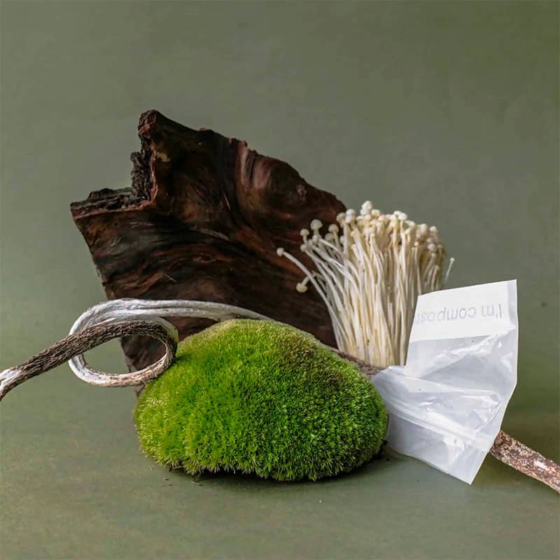 compost and mushrooms