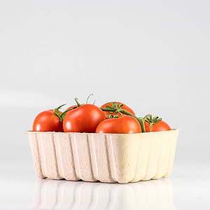 Paddy-Straw-Trays