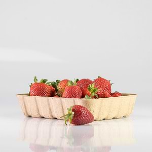Paddy-Straw-Trays2