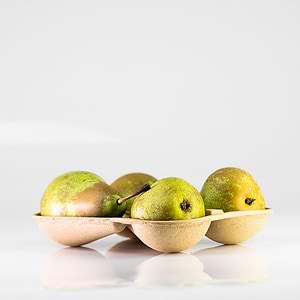 Paddy-Straw-Trays3