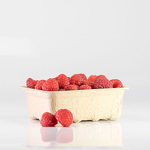 Paddy-Straw-Trays5