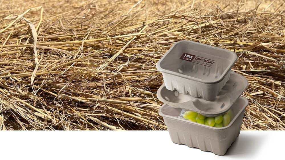 trays and paddy straw