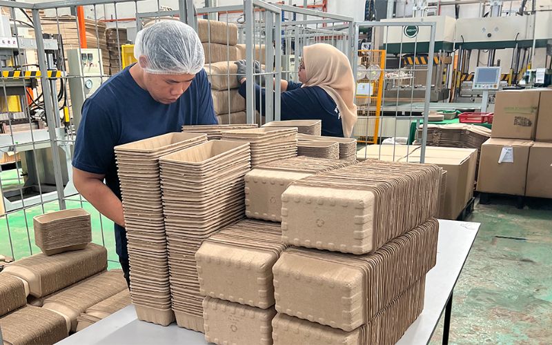 working-on-trays