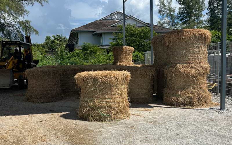 Bales of hay