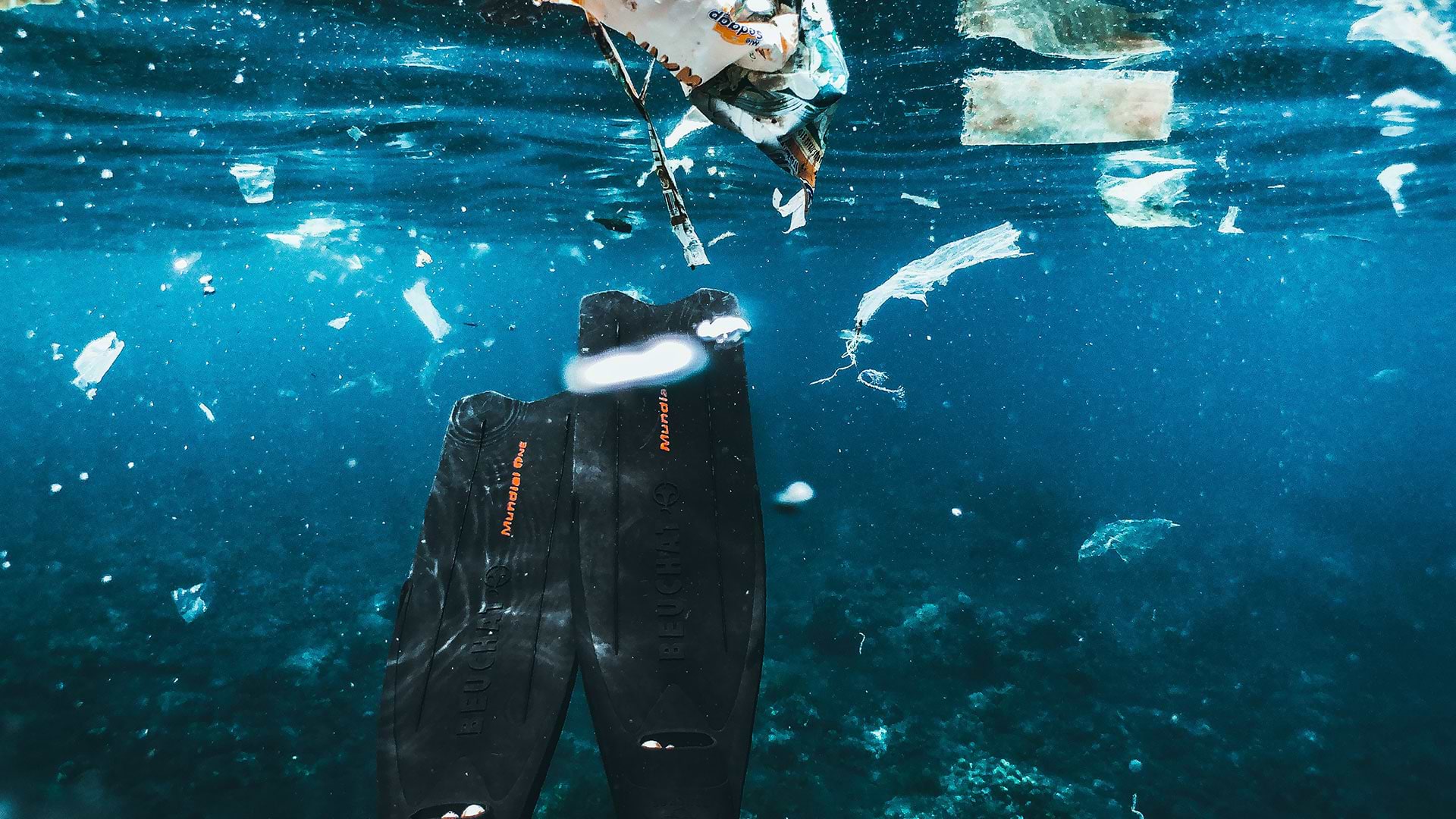 Litter underwater