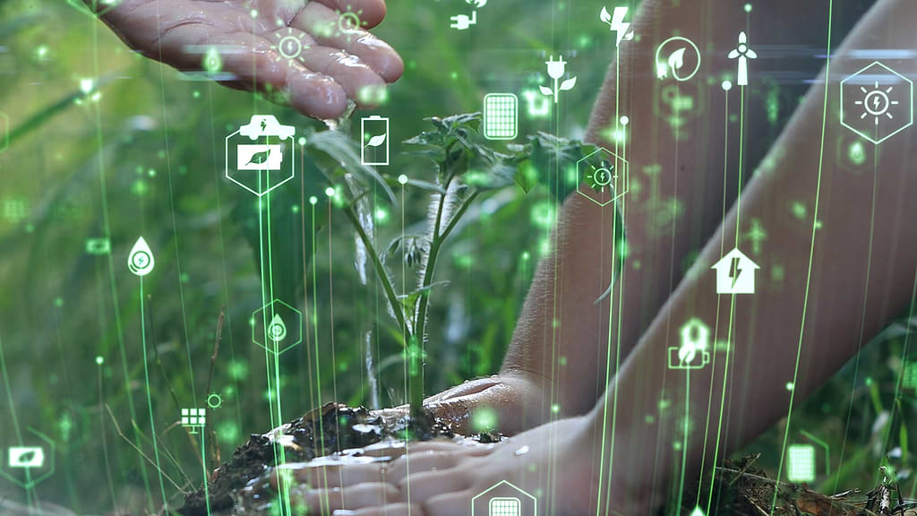 Hand planting a vegetable