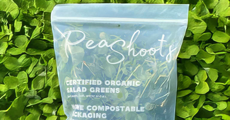 Organic Salad Greens