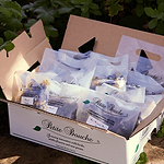 packaging for export