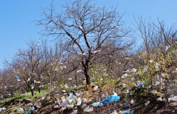 plastic packaging