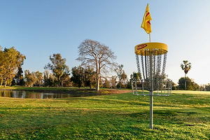 DISCatcher Pro 28 next to pond with sun rising in distance