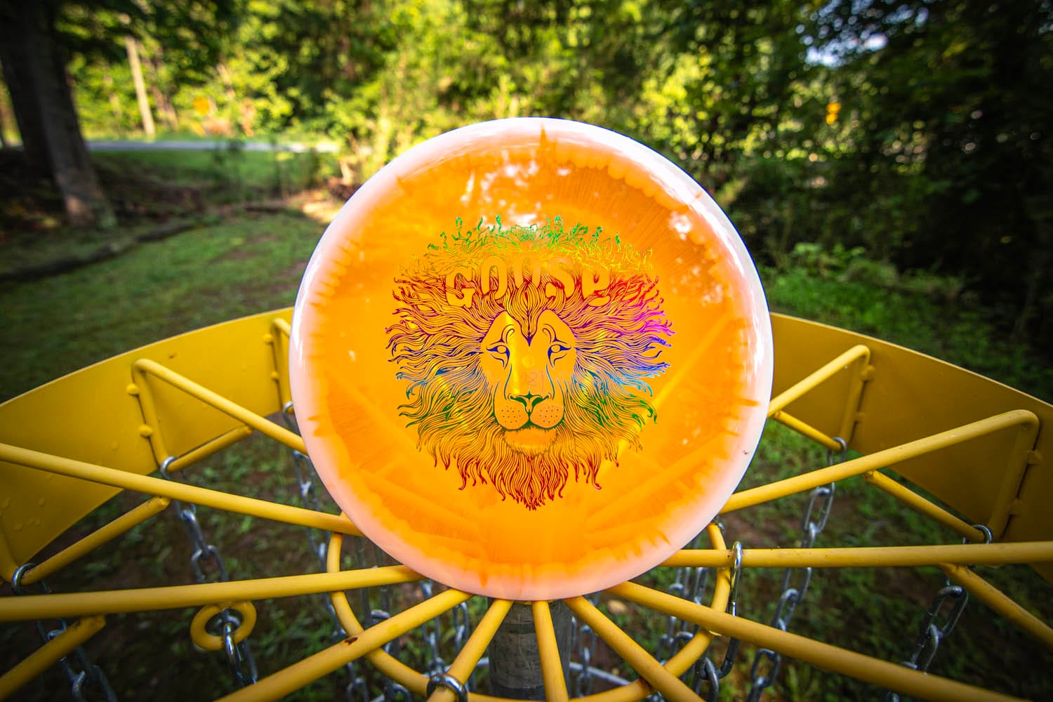 disc golf disc goose