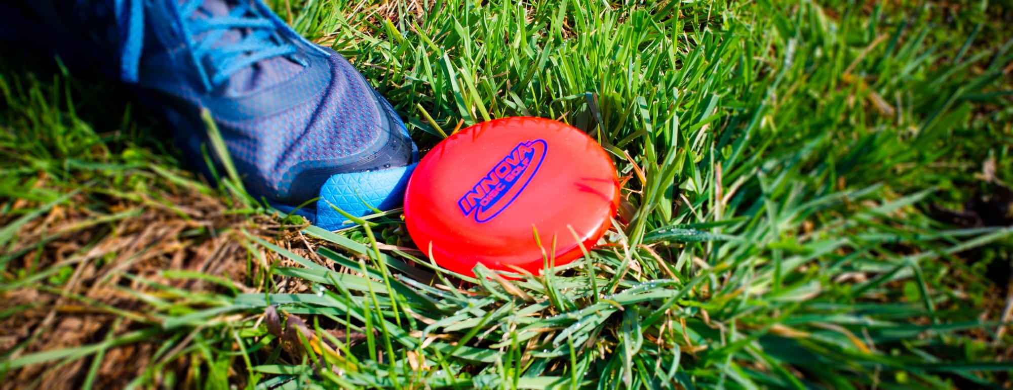 Disc golfers use a mini marker disc to mark a lie during rounds.