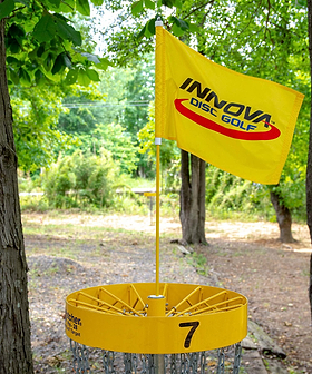 DISCatcher Pro Flag Set