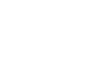 Discraft
