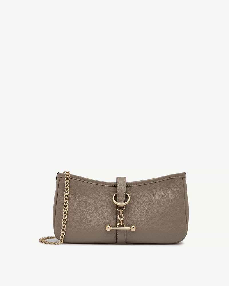 Taupe leather shoulder bag with gold chain and toggle ring detail.