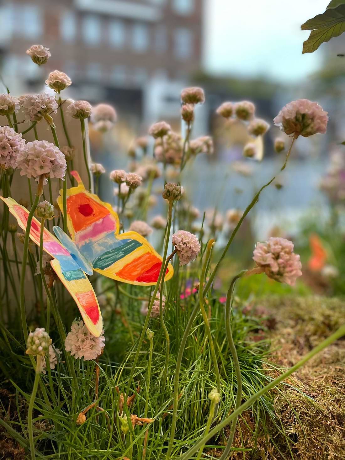 A colorful butterfly sitting on top of a lush green field