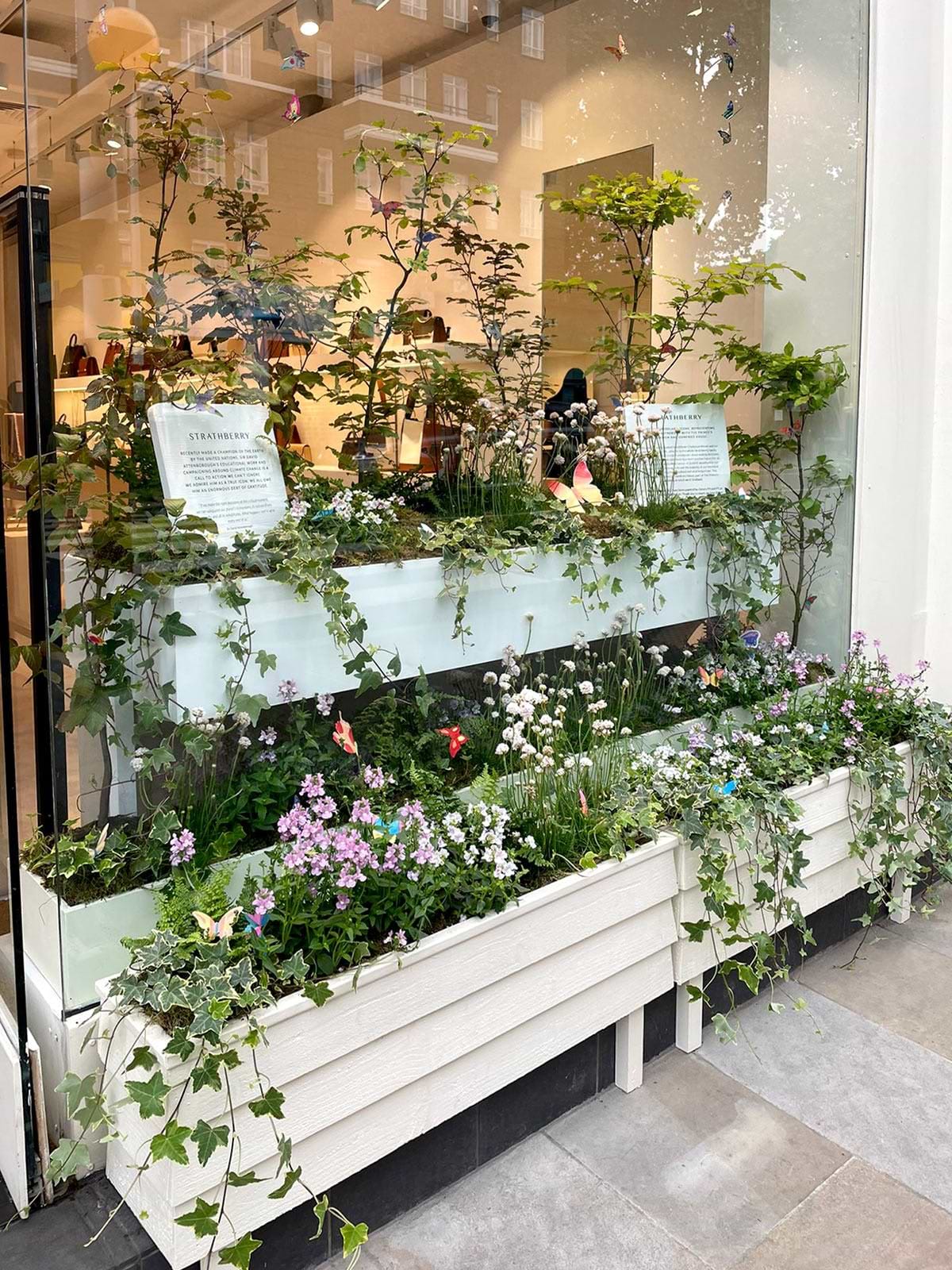 A window with a bunch of plants in it