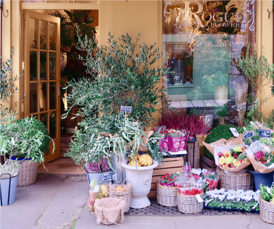 A bunch of plants that are outside of a store