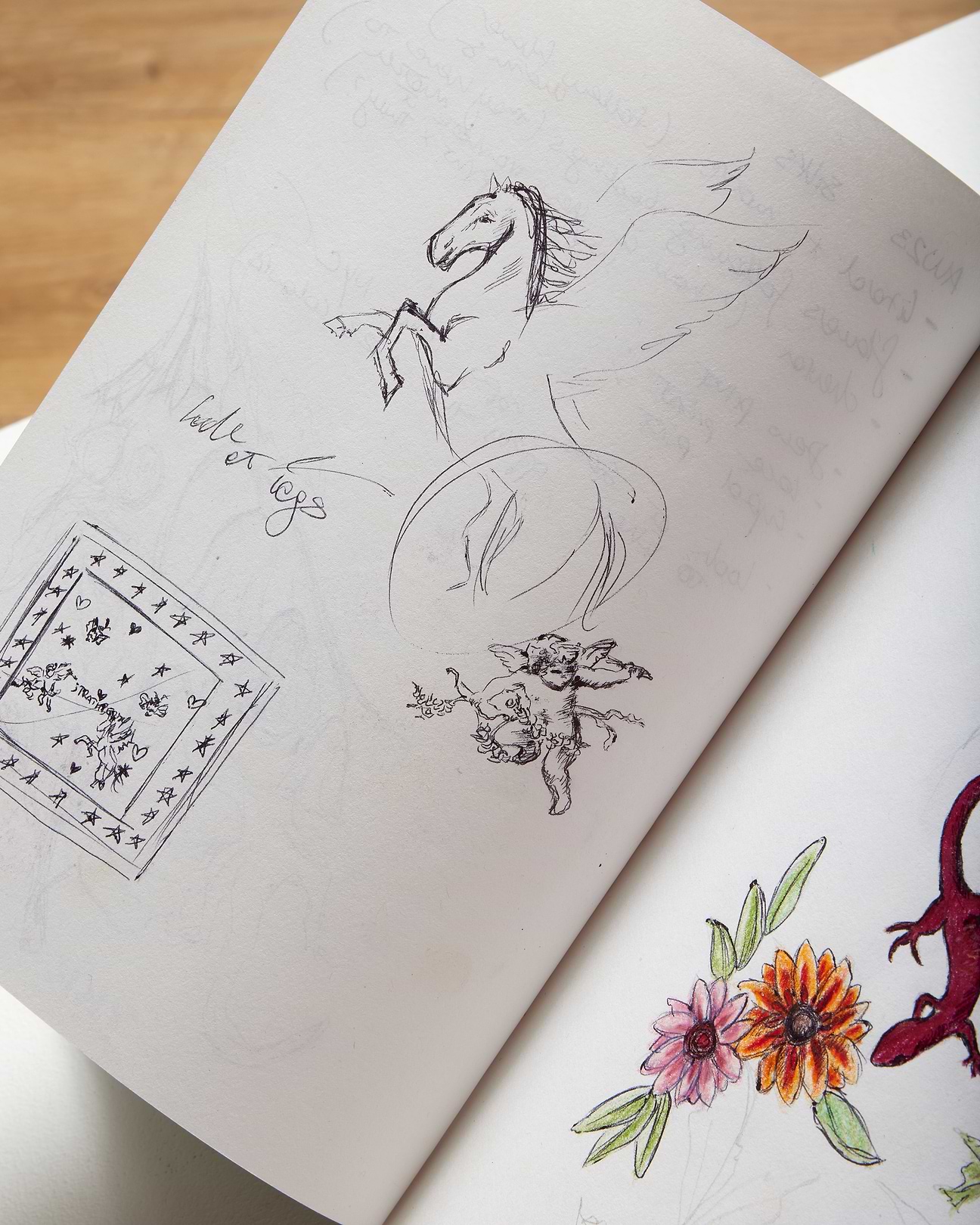 An open book with drawings of horses and flowers