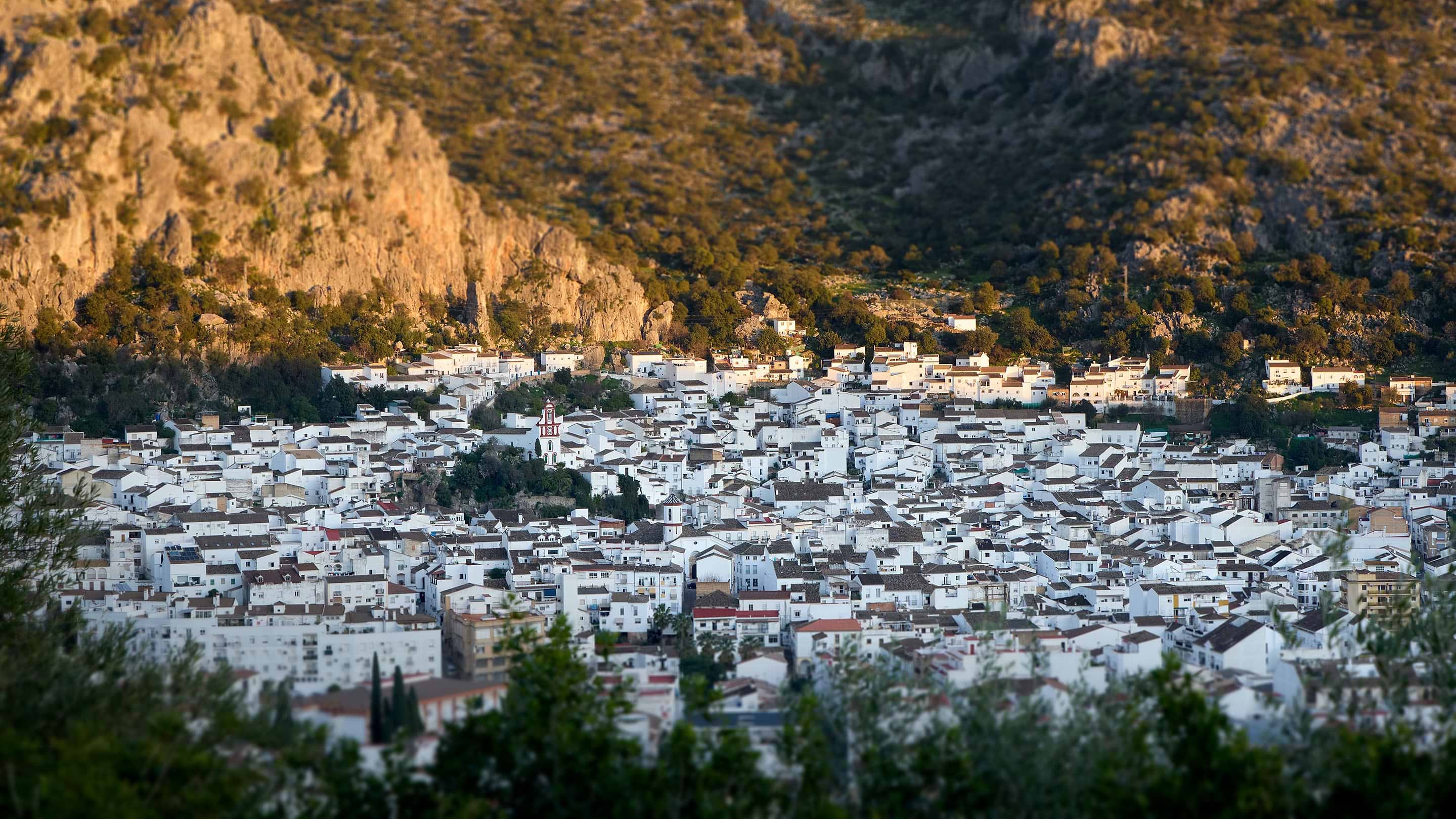 A view of a city with mountains in the background