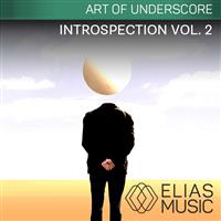 Introspection Vol. 2