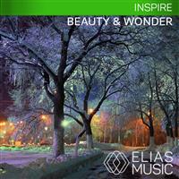 Beauty And Wonder