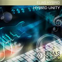 Hybrid Unity