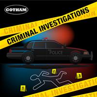 Criminal Investigations