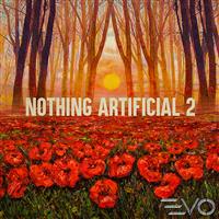 Nothing Artificial 2