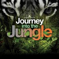 Journey Into The Jungle