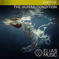 The Human Condition