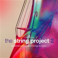 The String Project 2